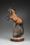 the Dun - cave horse