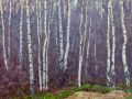 Birch Canopy