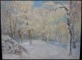 Snow in the Park